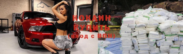 спиды Богданович