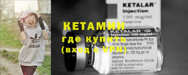 стаф Белокуриха