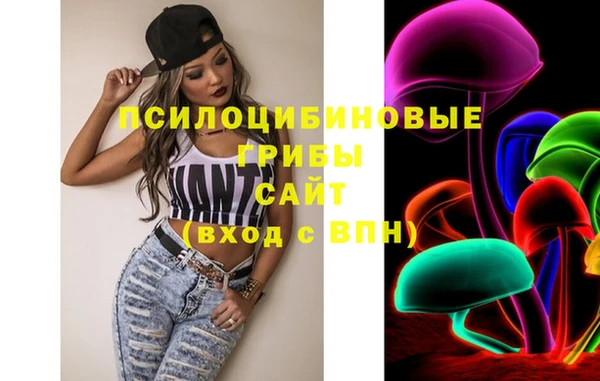 ПСИЛОЦИБИНОВЫЕ ГРИБЫ Богородицк