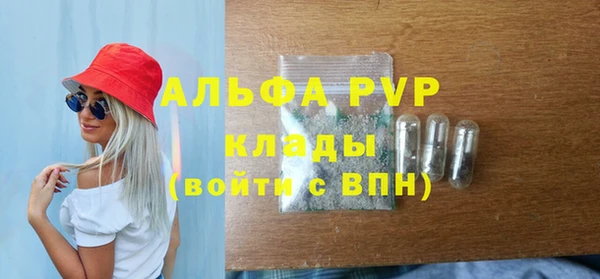 спиды Богданович