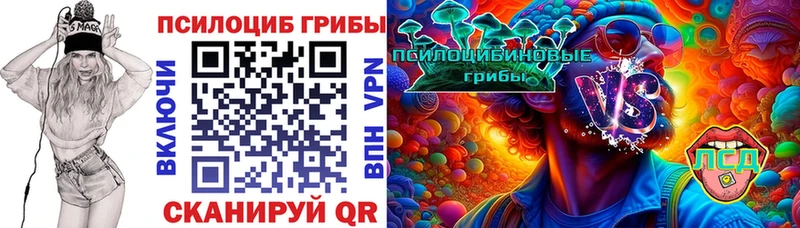 Галлюциногенные грибы прущие грибы  hydra ТОР  Дальнегорск 