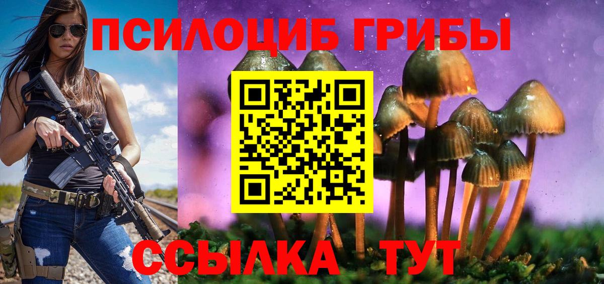Галлюциногенные грибы прущие грибы Дальнегорск